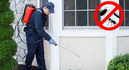 Denizli Pire İlaçlama böcek ilaçlama ve haşere kontrolü — ilaclama-tr.com